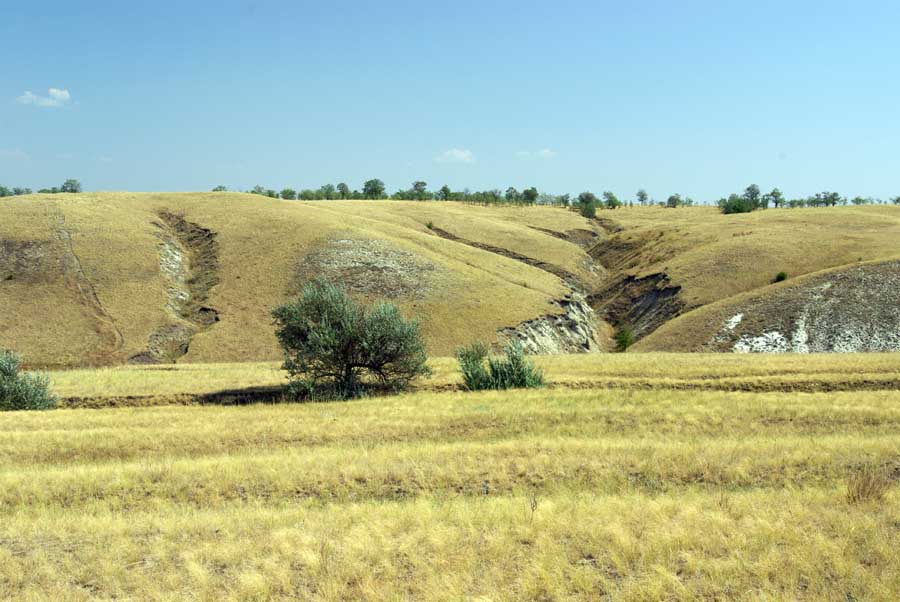 Балки фото рельеф