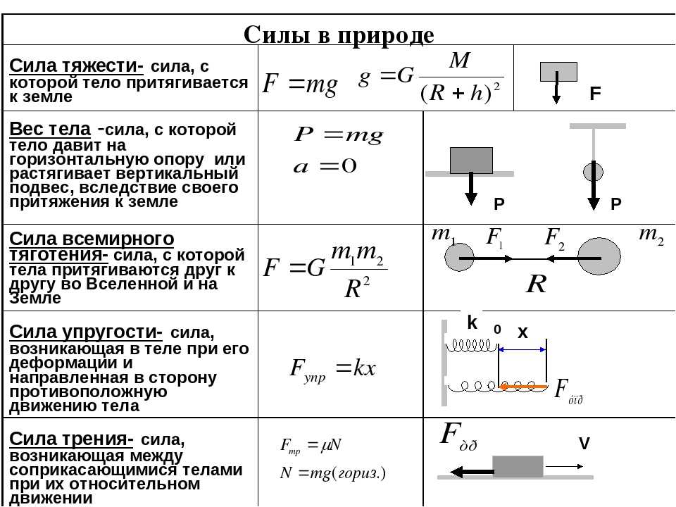 Определите вес тела массой 800 г изобразите вес тела на рисунке