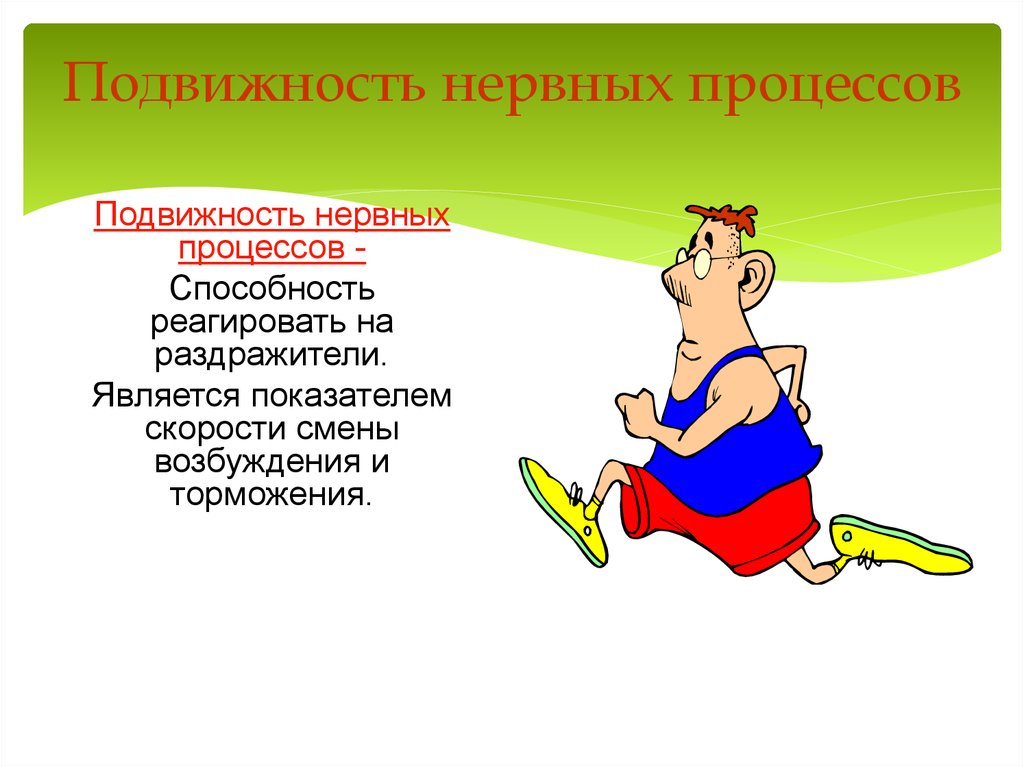 Нервные процессы. Подвижность нервных процессов. Подвижность и уравновешенность нервных процессов. Функциональная подвижность нервных процессов. Высокая подвижность нервных процессов.