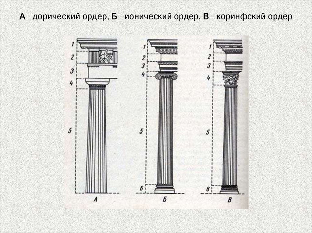 Дорический ордер в архитектуре. Дорический ионический и Коринфский ордера. Дорический ордер ионический ордер Коринфский. Древняя Греция дорический ионический и Коринфский ордеры. Дорический ордер в архитектуре древней Греции.