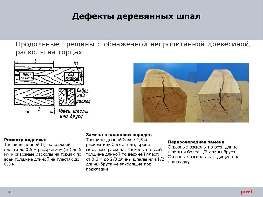 Из древесины какого дерева изготовляют шпалы