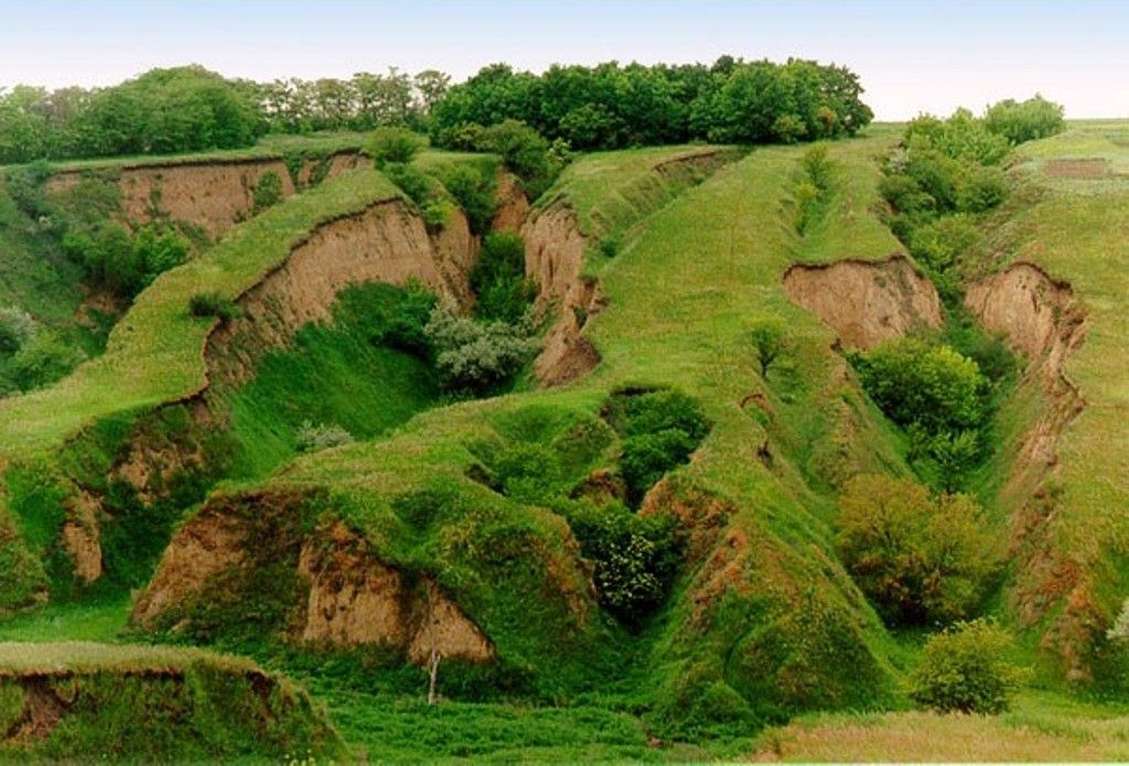 Овраг фото в природе