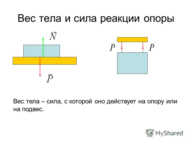 Сила реакции опоры движущегося тела. Вес тела и сила реакции опоры. Вес и сила реакции опоры. Сила реакции опоры рычага. Сила тяжести и сила реакции опоры.