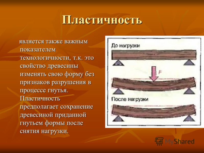 Пластичность. Пластичность древесины. Механическая пластичность древесины. Механические св ва древесины. Упругость древесины.