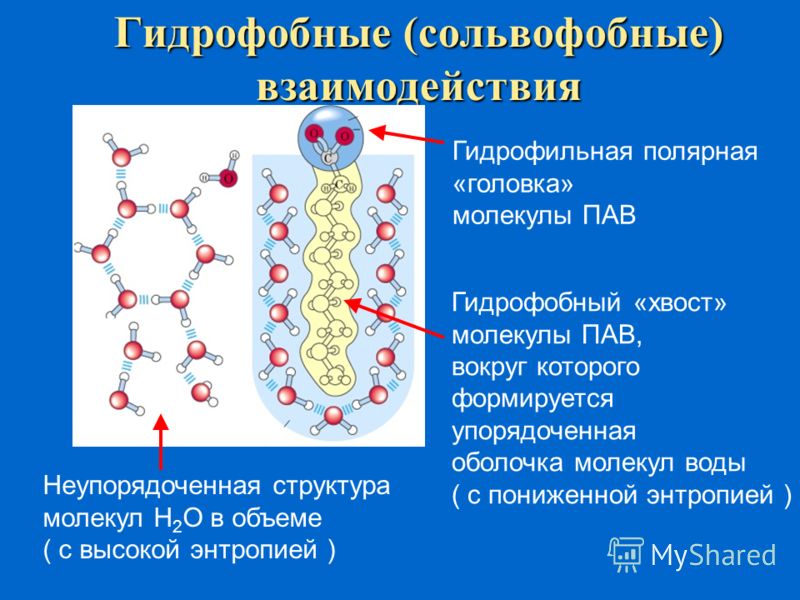 Гидрофобные связи белка. Гидрофобные взаимодействия неполярных групп. Гидрофильно гидрофобные взаимодействия. Гидрофобные молекулы. Гидрофобные и гидрофильные молекулы.