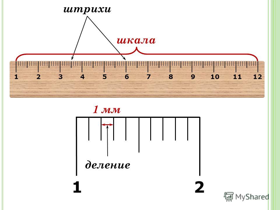 Scale 1 1