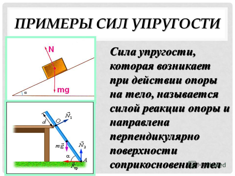 Точка силы упругости. 10 Класс физика сила реакции опоры. Сила реакции опоры физика 9 класс. Сила упругости постоянная величина. Сила упругости и сила реакции опоры.