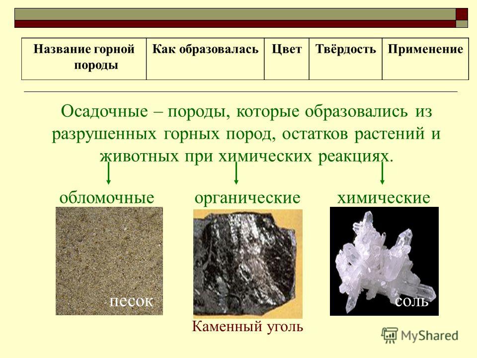 К какой породе относится известняк