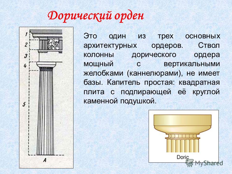 Колонна это. Каннелюры Ионического ордера. Тосканский ордер каннелюры. Дорический ордер без каннелюр. Колонны основных архитектурных ордеров дорический.