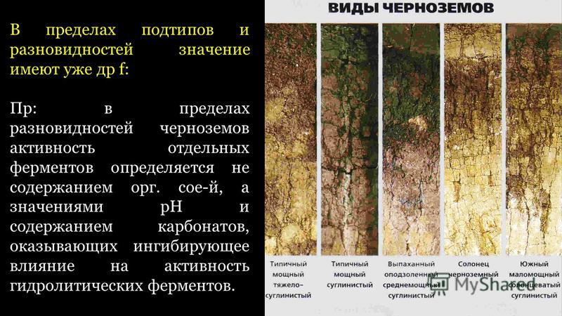 Какие области черноземные почвы россии. Подтипы черноземных почв. Тип почвы чернозем. Типы черноземных почв. Черноземные почвы выщелоченные.