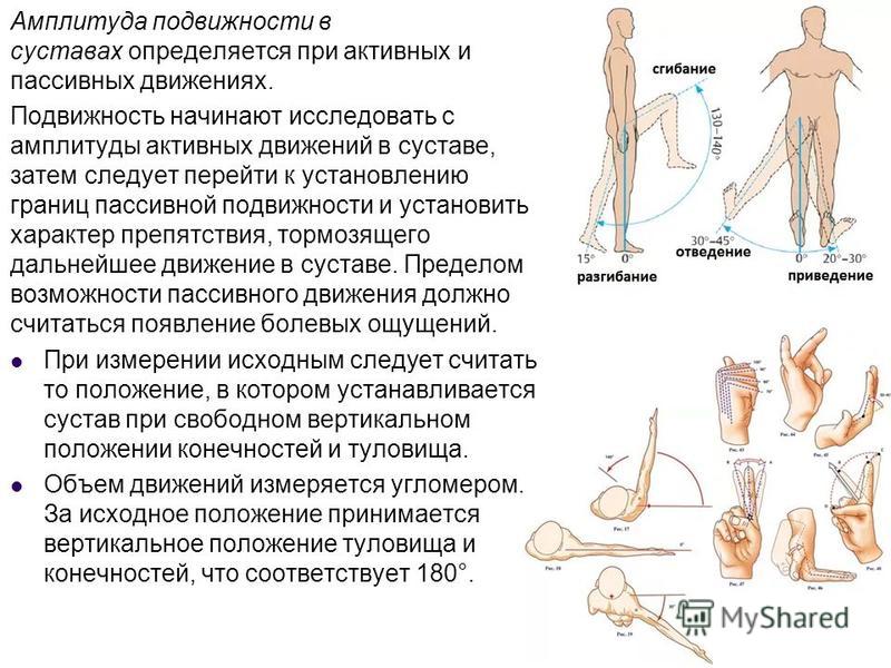 Подвижность это