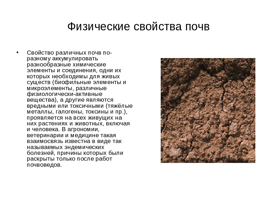 О каком свойстве почвы идет речь. Физические свойства почвы. Характеристика основных физических свойств почвы. Физические свойства грунтов. Химические характеристики почвы.
