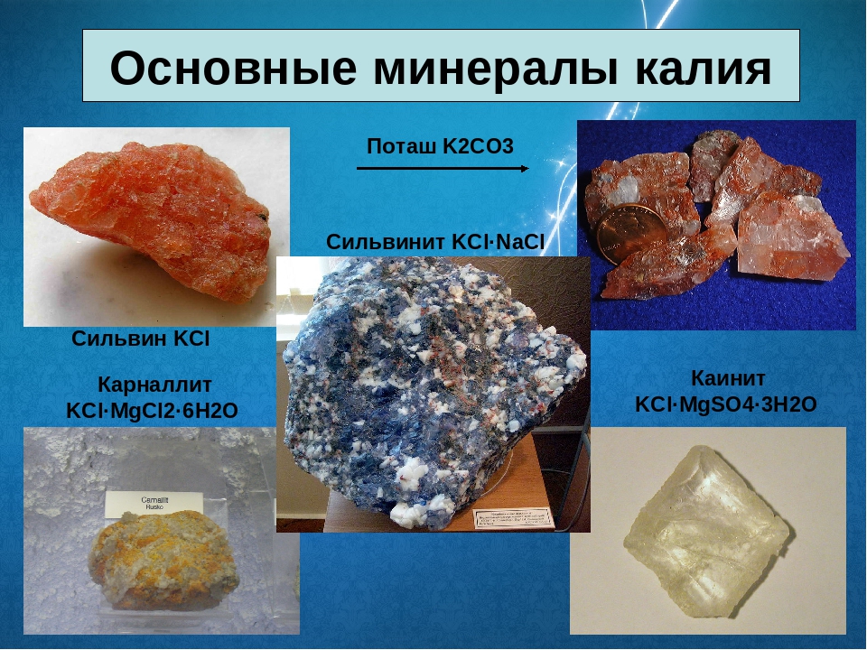 Природные соединения натрия. Карналлит и Сильвинит. Сильвин KCL. Калий минерал. Минералы содержащие калий.