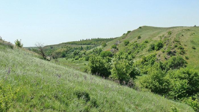 Балка рельеф. Донецкий Кряж. Степная балка. Село русско-Орловка. Балка в степи.