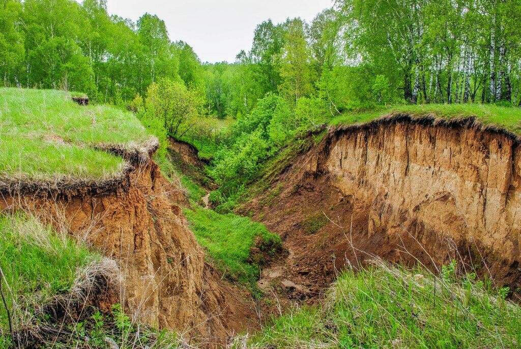 Фото балки в природе