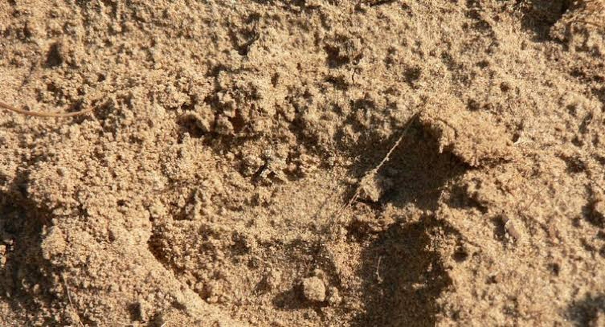 Структура песчаной почвы. Песок супесь суглинок. Супесь песчанистая. Песок супесь суглинок глина. Супесь лессовая.