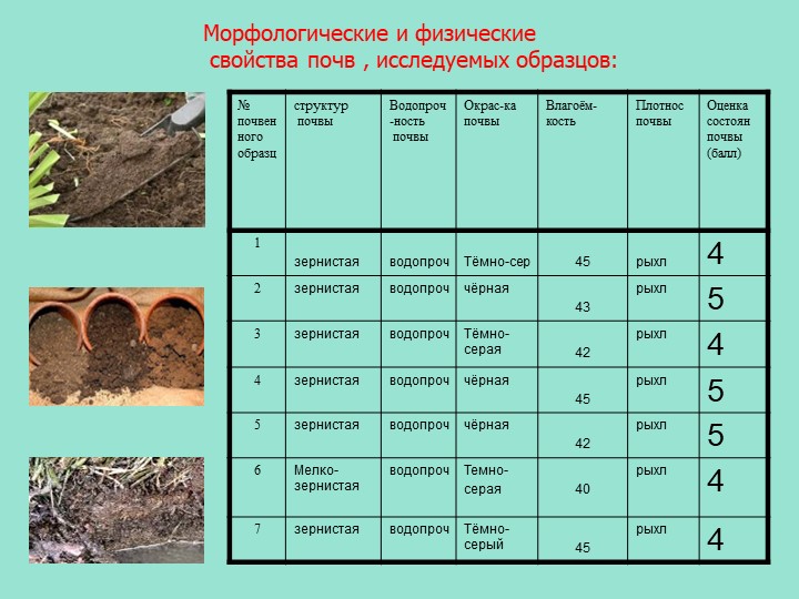 Как понять какая почва. Параметры почвы. Характеристика почвы. Характеристика видов почв. Физические характеристики почвы.