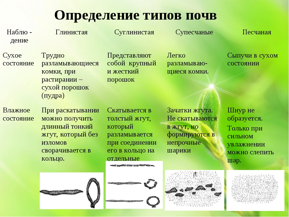 Условие определение почв. Как определяется Тип почвы. Как определить какой вид почвы. Как определить Тип почвы на участке. Определение типа почвы способ.