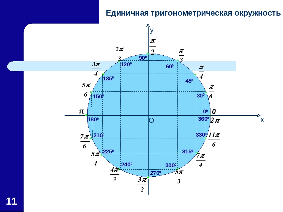 Какой координатной четверти принадлежит точка 21 5. Тригонометрические функции числовая окружность 10 класс. 10 Класс числовая окружность тригонометрический круг. Числовая окружность тригонометрия 10 класс. Числовая окружность макет 1 и 2.