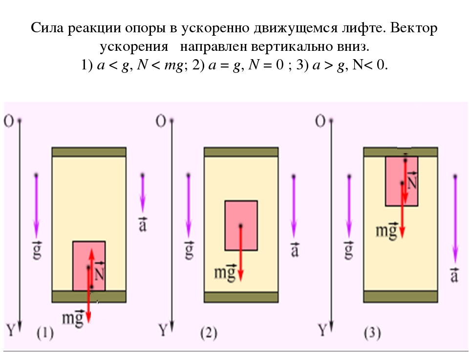 Силы действующие на ящик. Сила реакции опоры в лифте. Сила реакции опоры ускорение. Сила реакции опоры при ускорении. Лифт движется вниз с ускорением.