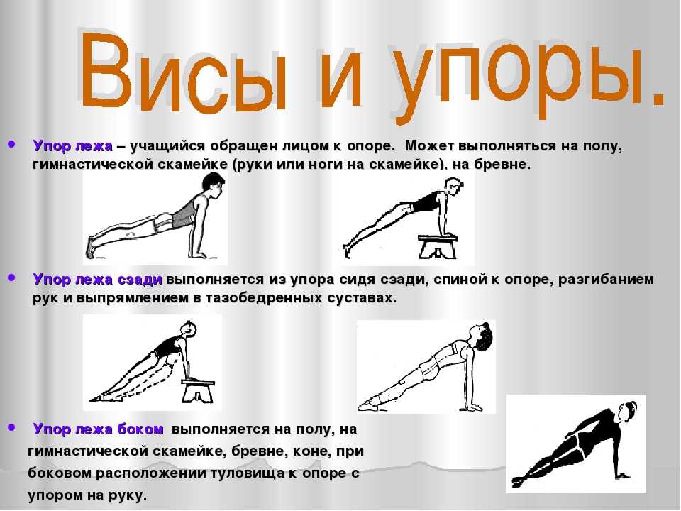 Что означает слово гимнастика. Анатомический анализ положения упор лежа сзади. Гимнастическая терминология упор лежа.... Упражнение упор сзади. Упражнения в висах и упорах.