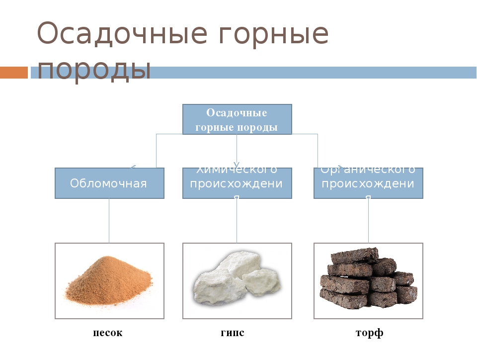 Песок относится к. Горные породы осадочные биологического происхождения. Осадочные горные породы (обломочные, органогенные).. Осадочные горные породы обломочные химические органические. Подтипы осадочных горных пород.