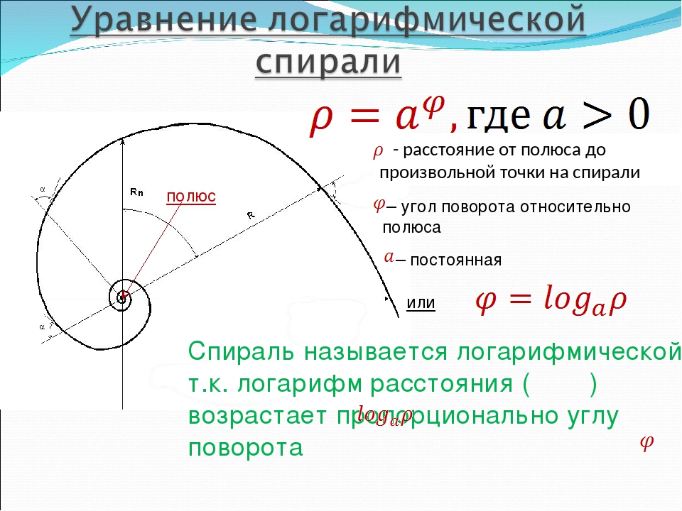 Нарисовать спираль логарифмическая