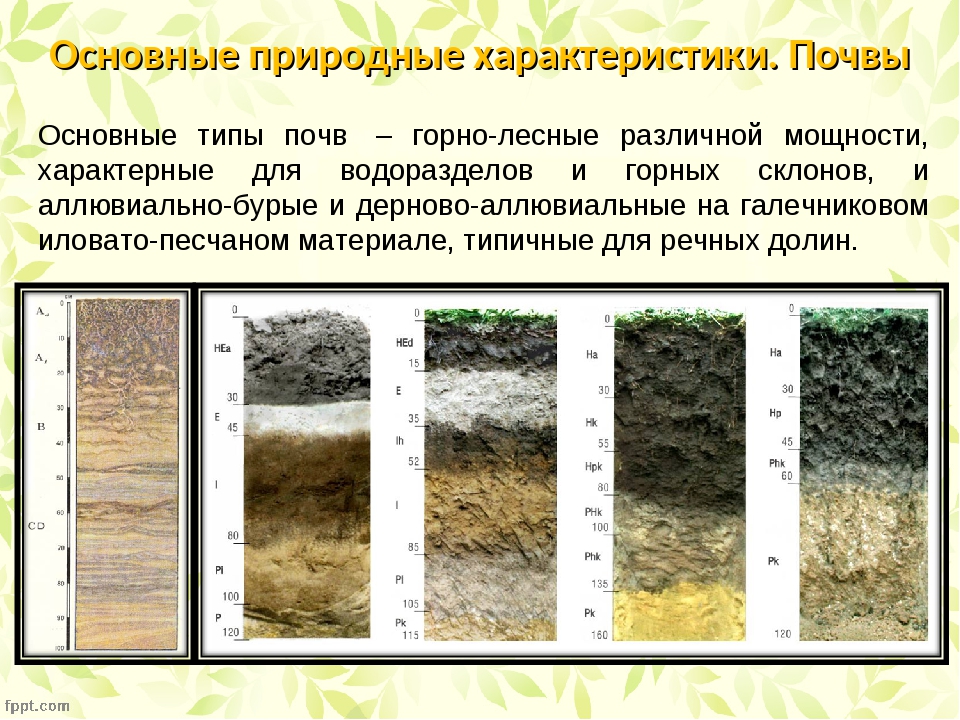 Виды почв. Горные почвы почвенный профиль. Основные типы почв. Почва типы почв. Характеристика почвы.