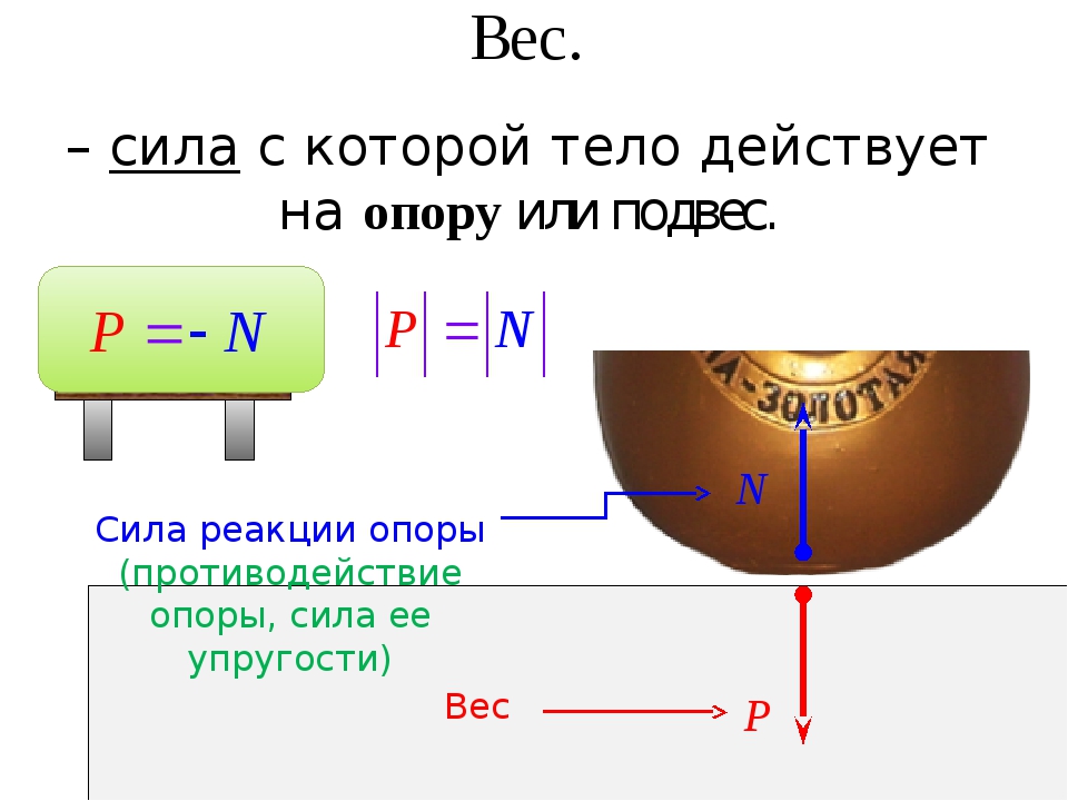 Сила тяжести упругости трения вес. Сила реакции опоры для подвеса. Сила реакции опоры формула рычага. Вес это сила с которой тело действует на опору или подвес. Сила реакции опоры действующая на тело.