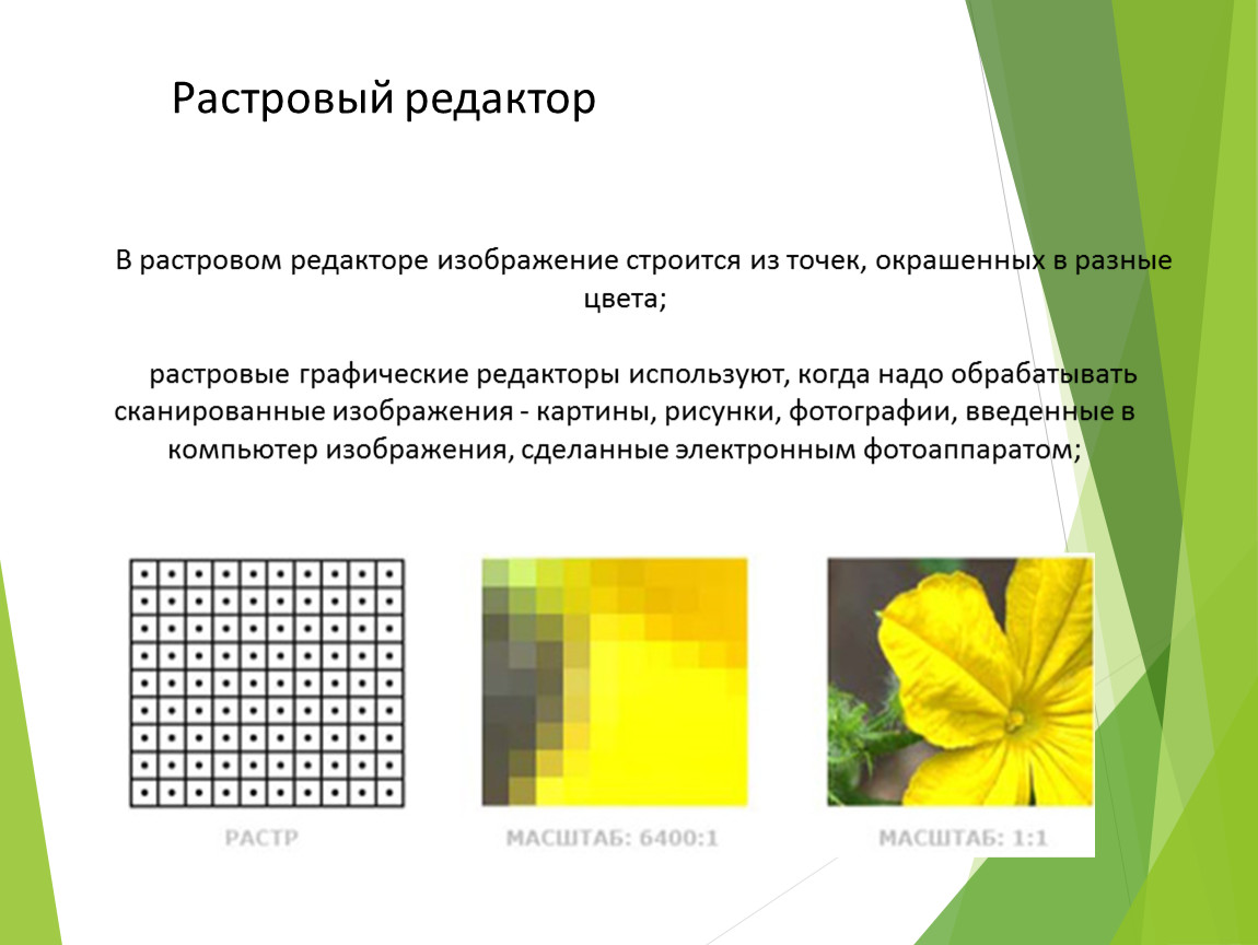 Признаки полноцветного растрового изображения