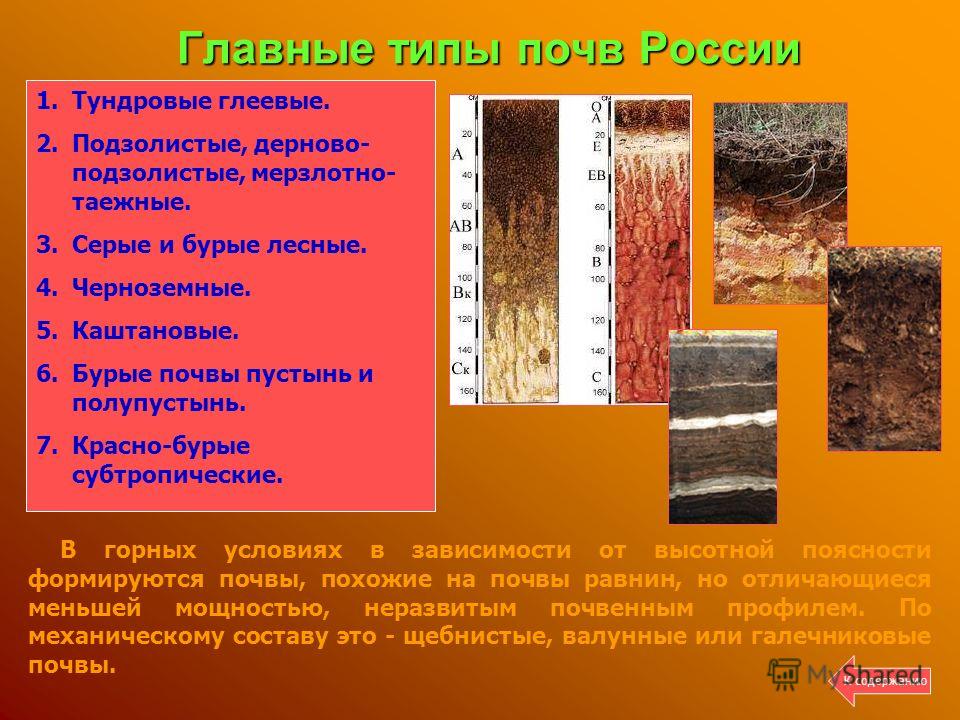 Тяжелыми почвами называют. Дерново-подзолистые глеевые. Почвенный профиль дерново-подзолистых почв. Дерново-подзолистые, торфяно-подзолисто-глеевые, болотные почвы.. Почвенные горизонты подзолистых почв.