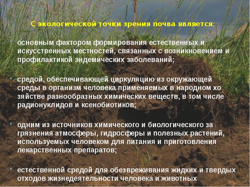 Инфекции почвы. Эндемические болезни связанные с почвой. Почва с точки зрения химии. Эндемические заболевания почвы. Профилактика эндемических заболеваний.