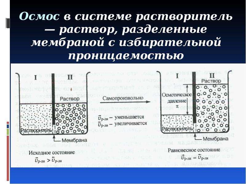 Раствор состоит из 3 частей