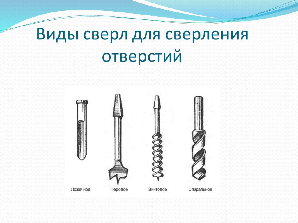 Виды сверл. Типы сверл для сверления древесины 5 класс технология. Типы свёрл для сверления древесины и металла. Виды сверл для сверлильного станка.