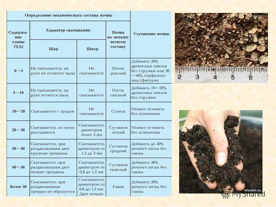 Кислотность удобрений. Механический состав чернозема таблица. Состав почвы. Типы почв таблица. Почвенная характеристика почвы.