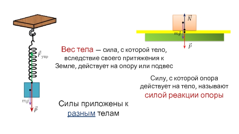 На каком рисунке показана сила упругости опоры