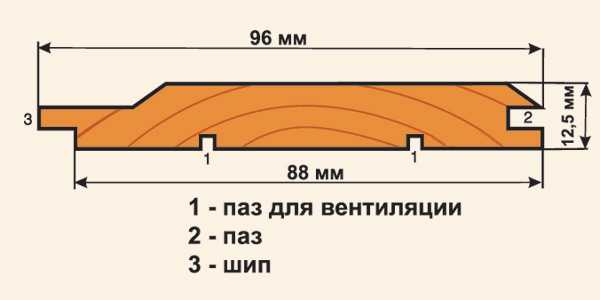 Евровагонка сорта описание фото