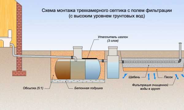 Как задекорировать септик на участке своими руками фото